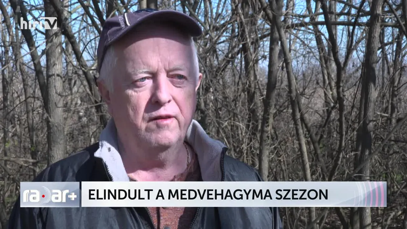 ELINDULT A MEDVEHAGYMA SZEZON