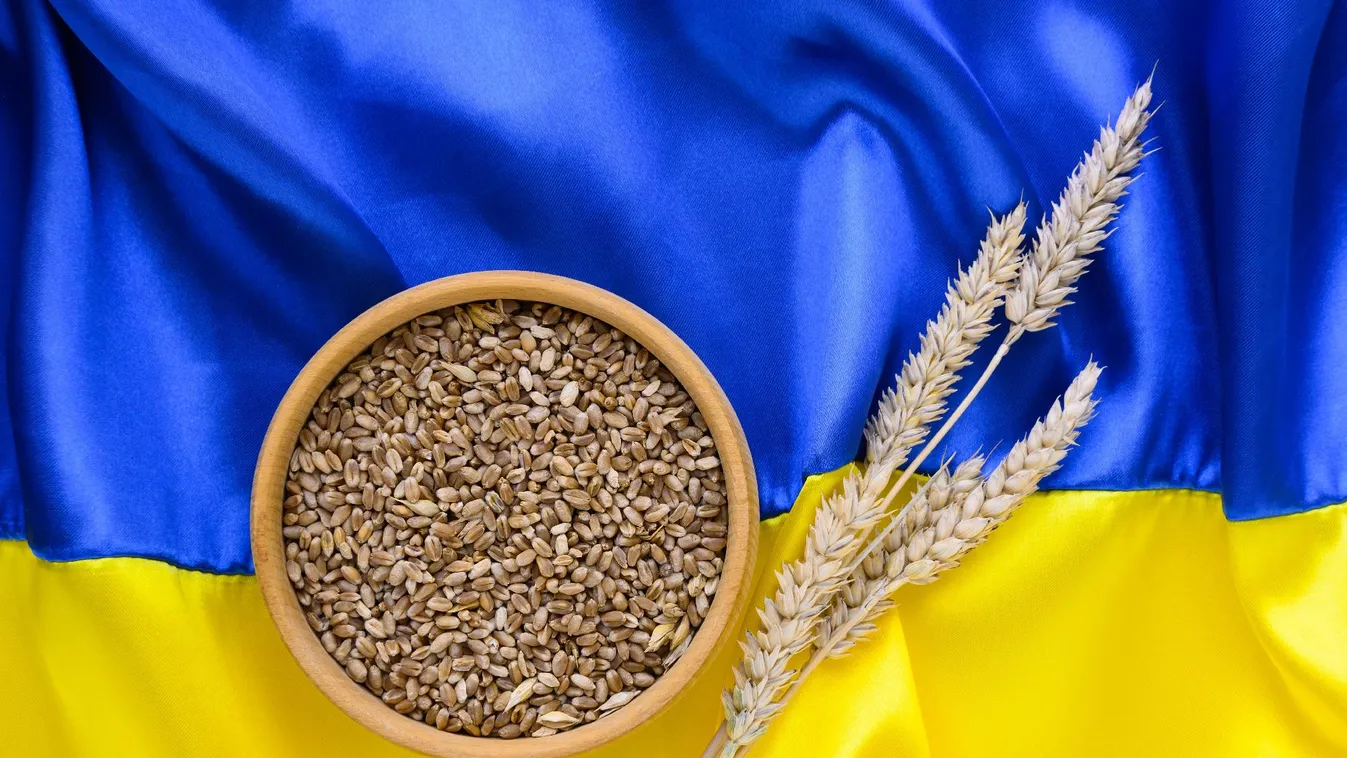 Mezőgazdasági válsághoz vezetne Ukrajna európai uniós csatlakozása + videó