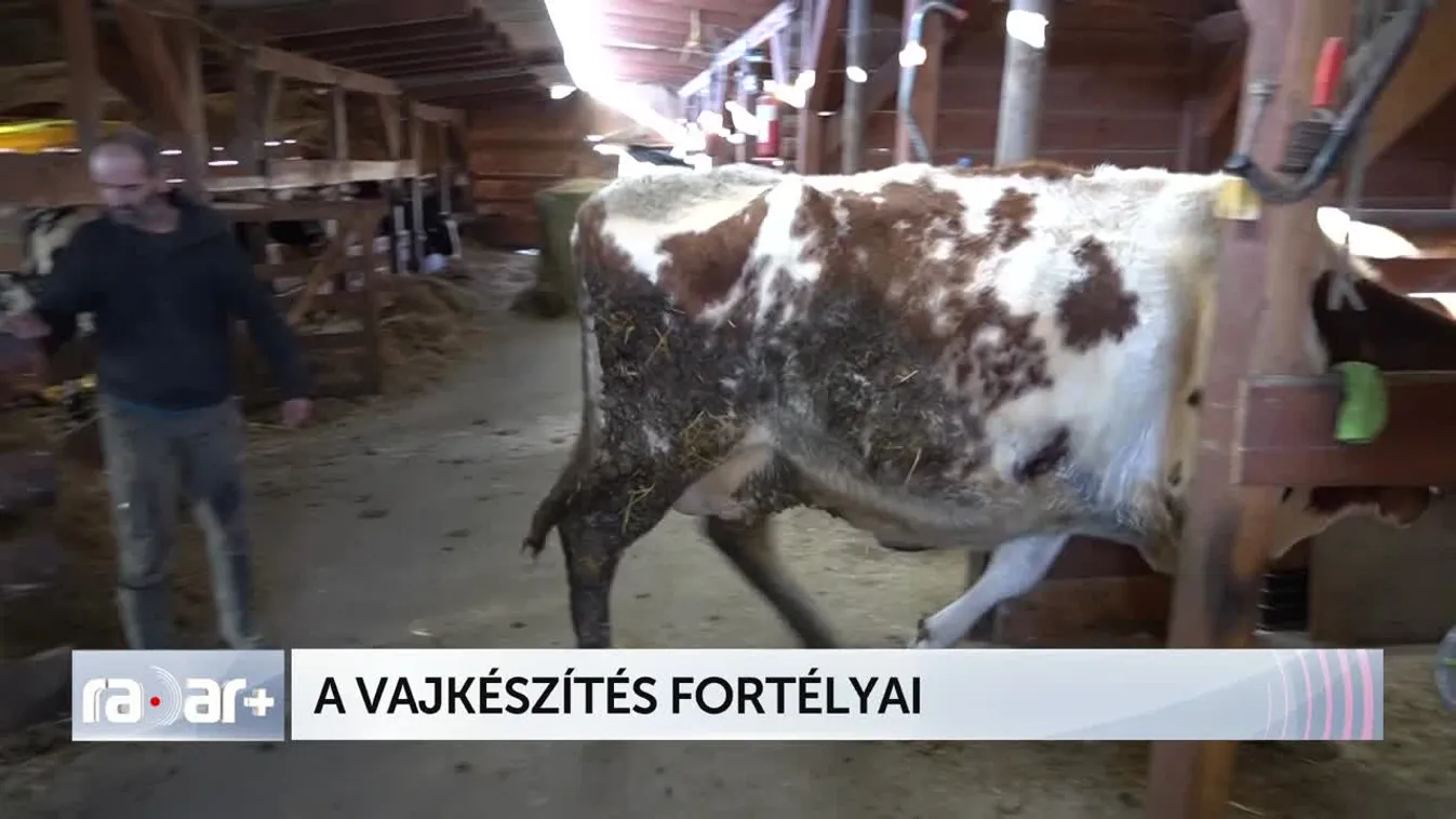 Radar+ A vajkészítés fortélyai