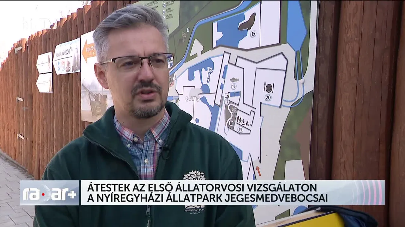 Radar - ÁTESTEK AZ ELSŐ ÁLLATORVOSI VIZSGÁLATON A NYÍREGYHÁZI ÁLLATPARK JEGESMEDVEBOCSAI