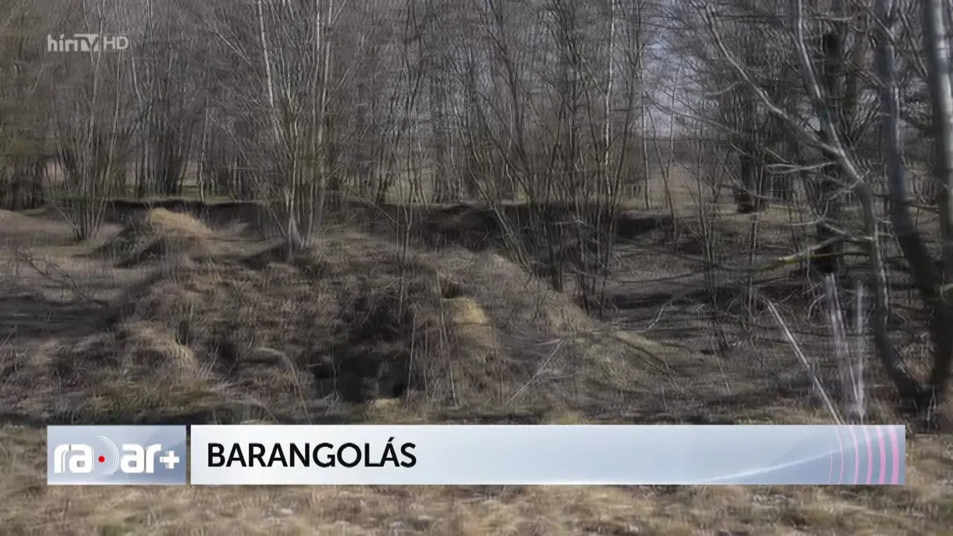RADAR - BARANGOLÁS