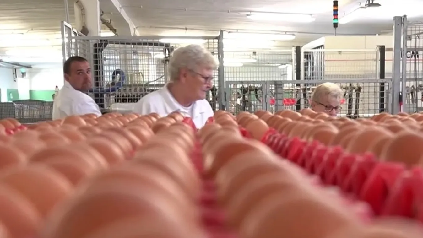 Korszerűbb technológiával dolgozhatnak ezentúl az agráriumi dolgozók Szerencsen + videó