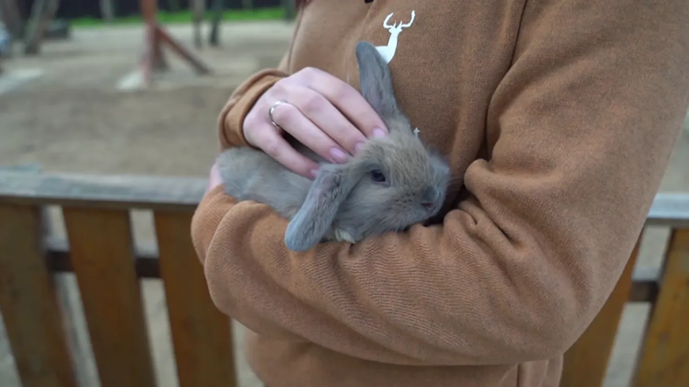 Radar – Látványos programokkal készülnek az állatkertek húsvétra + videó