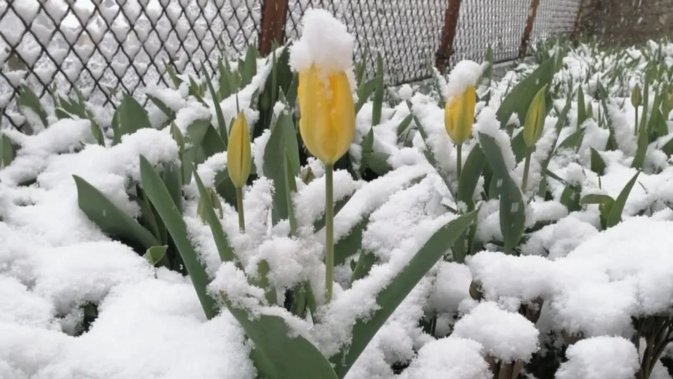 Leesett a hó Borsodban, látványos felvételek készültek