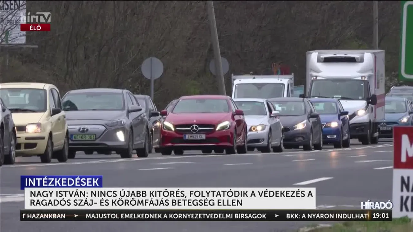 Nagy István: nincs újabb kitörés, folytatódik a védekezés a ragadós száj- és körömfájás betegség ellen