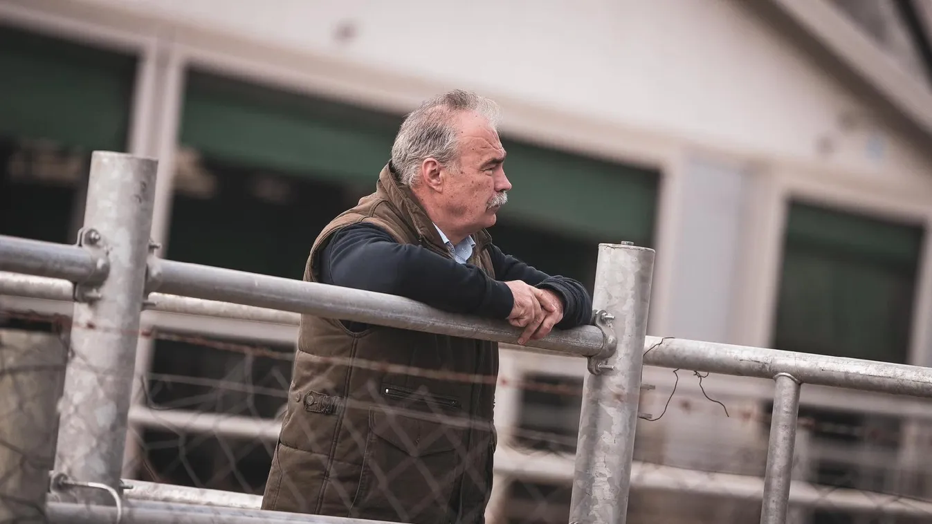 Nagy István: teljes erővel zajlik a védekezés Győr-Moson-Sopron vármegyében a ragadós száj- és körömfájás betegség ellen