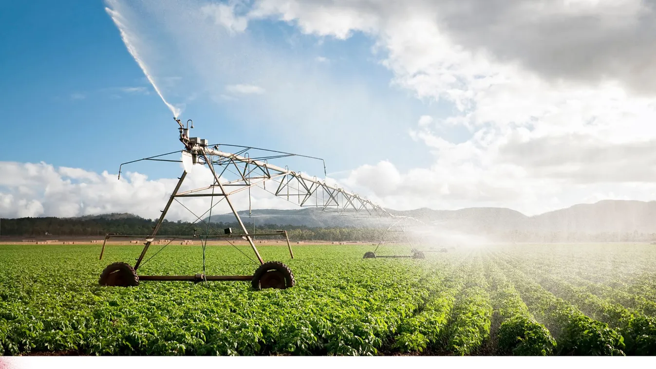 Díjmentes segítséget kapnak a magyar gazdák – nagy szárazságokra kell felkészülni