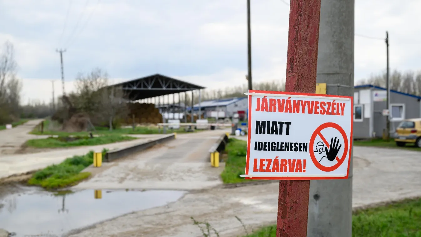 Emberfeletti küzdelem zajlik a rendkívül ragadós vírus megállítása érdekében + videó