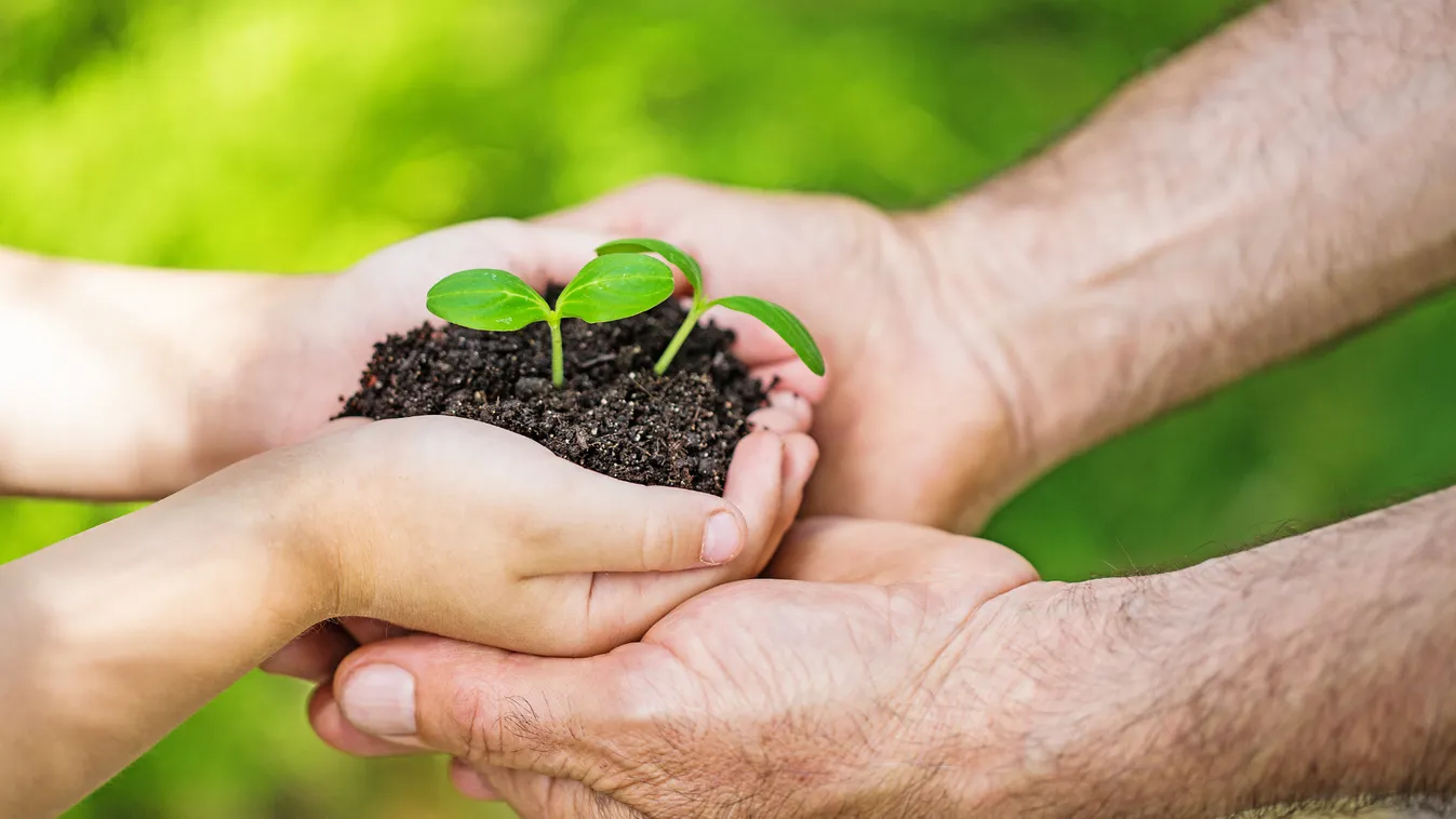 A magyar gazdák Brüsszelben ellenzik az ukrán EU-csatlakozást, negyedmillió aláírással megtámogatva