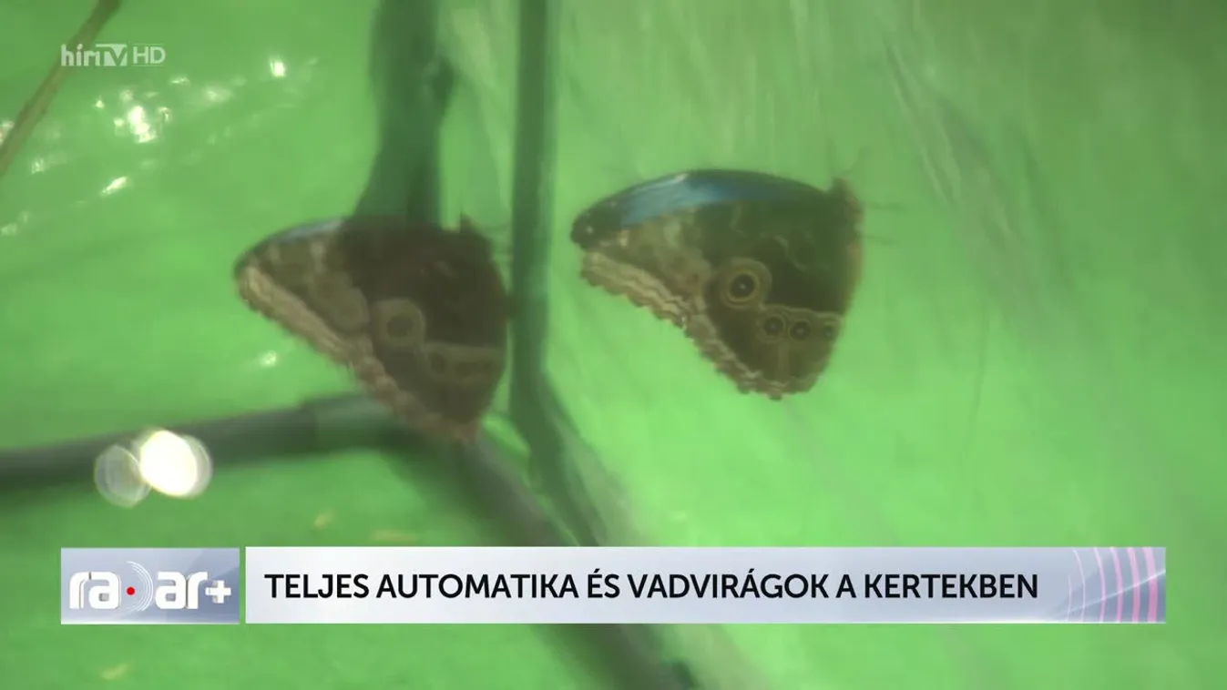 Radar+ Teljes automatika és vadvirágok a kertekben