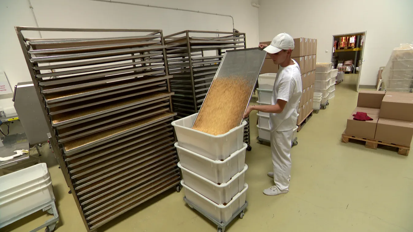 A kormány öt gazdasági és öt politikai célt tűzött ki az idei évre + videó