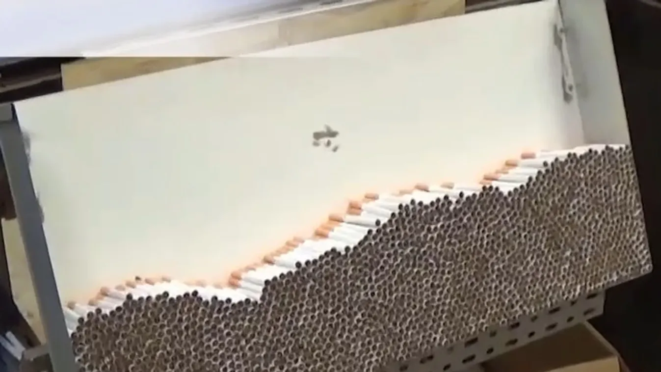 Radar – Harc a dohányzás ellen  + videó