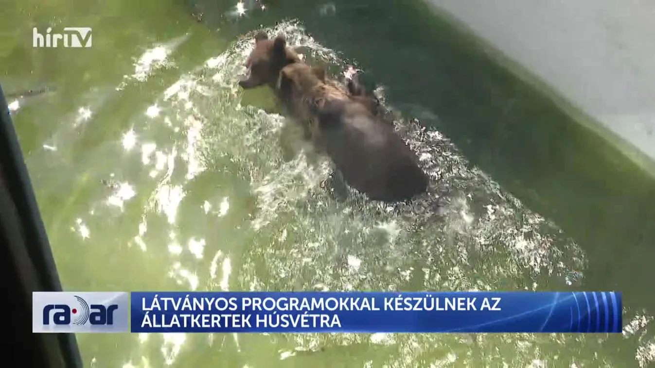 Radar – Látványos programokkal készülnek az állatkertek húsvétra