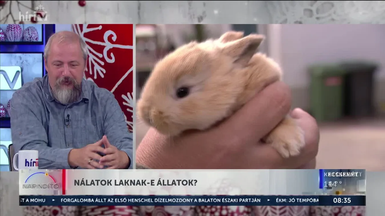 Nálatok laknak-e állatok?