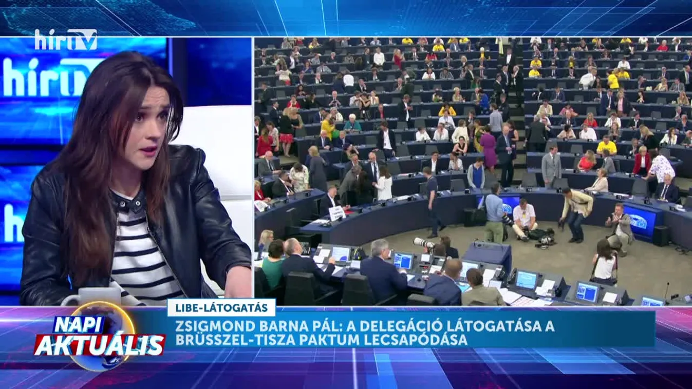 Napi aktuális - Halkó Petra: Kémkedés elleni eszközöket ajánlottak az EP szolgálatai a Magyarországra látogató uniós törvényhozóknak + videó