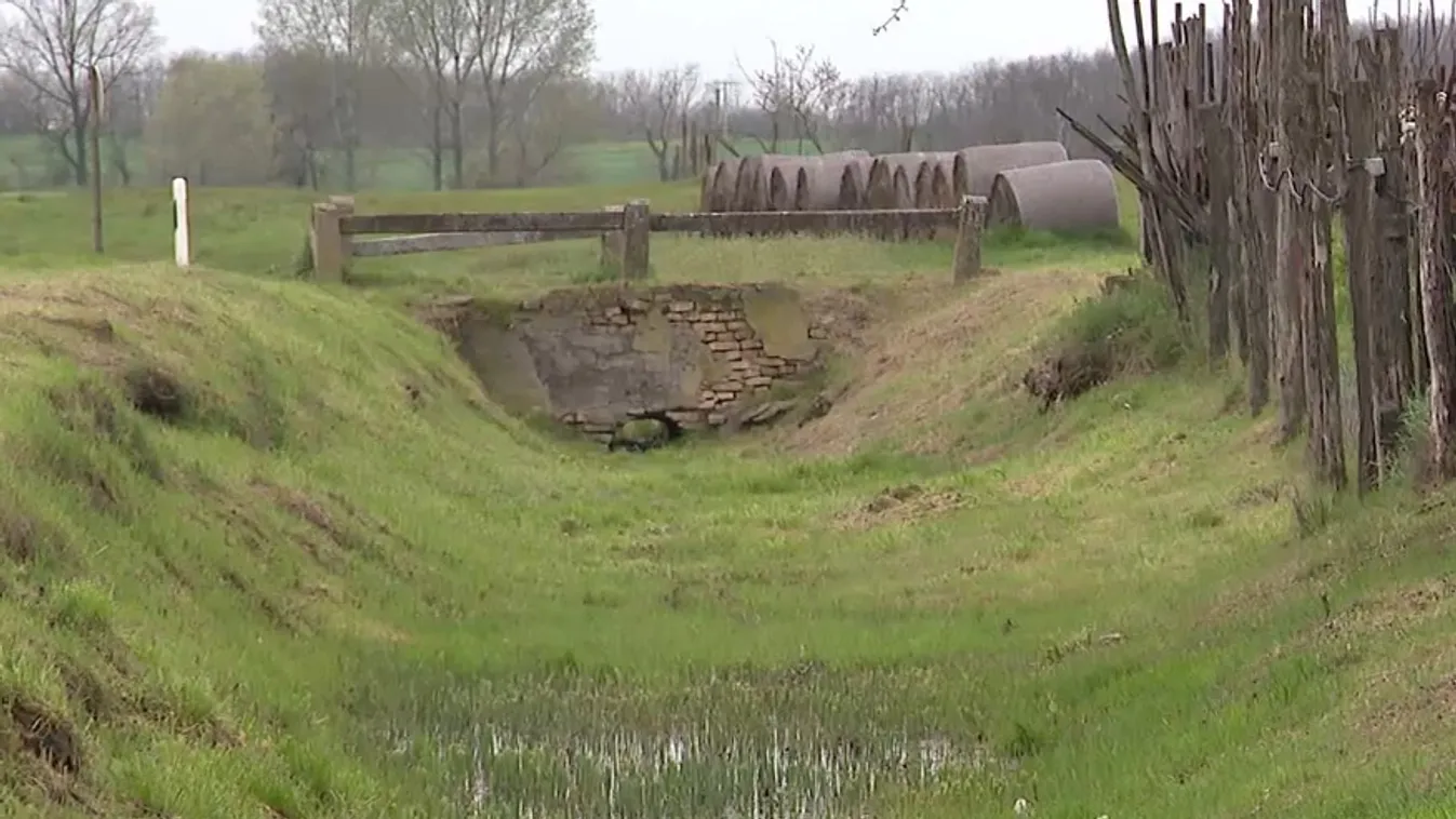 Radar – Elindult a Vizet a tájba program - közös fellépés az aszály ellen  + videó