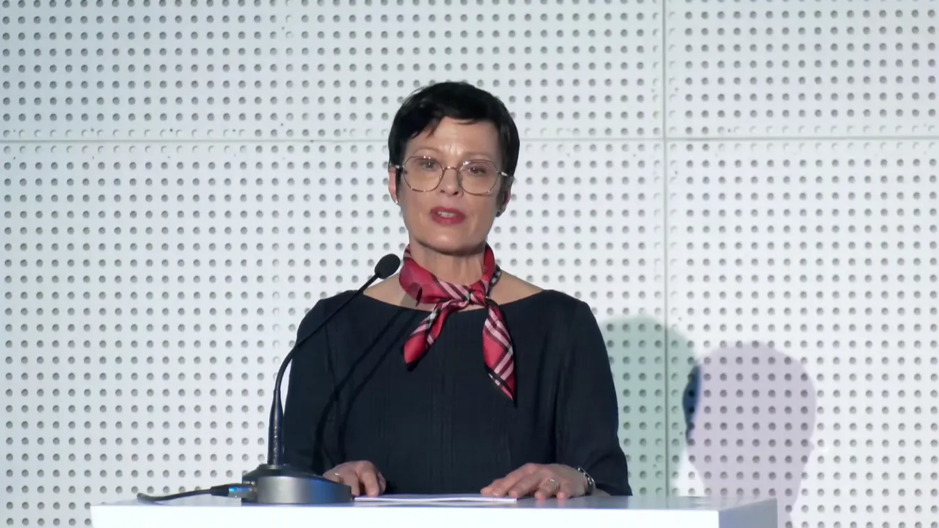 Megoldást találna a magyar vétóra az uniós biztos + videó