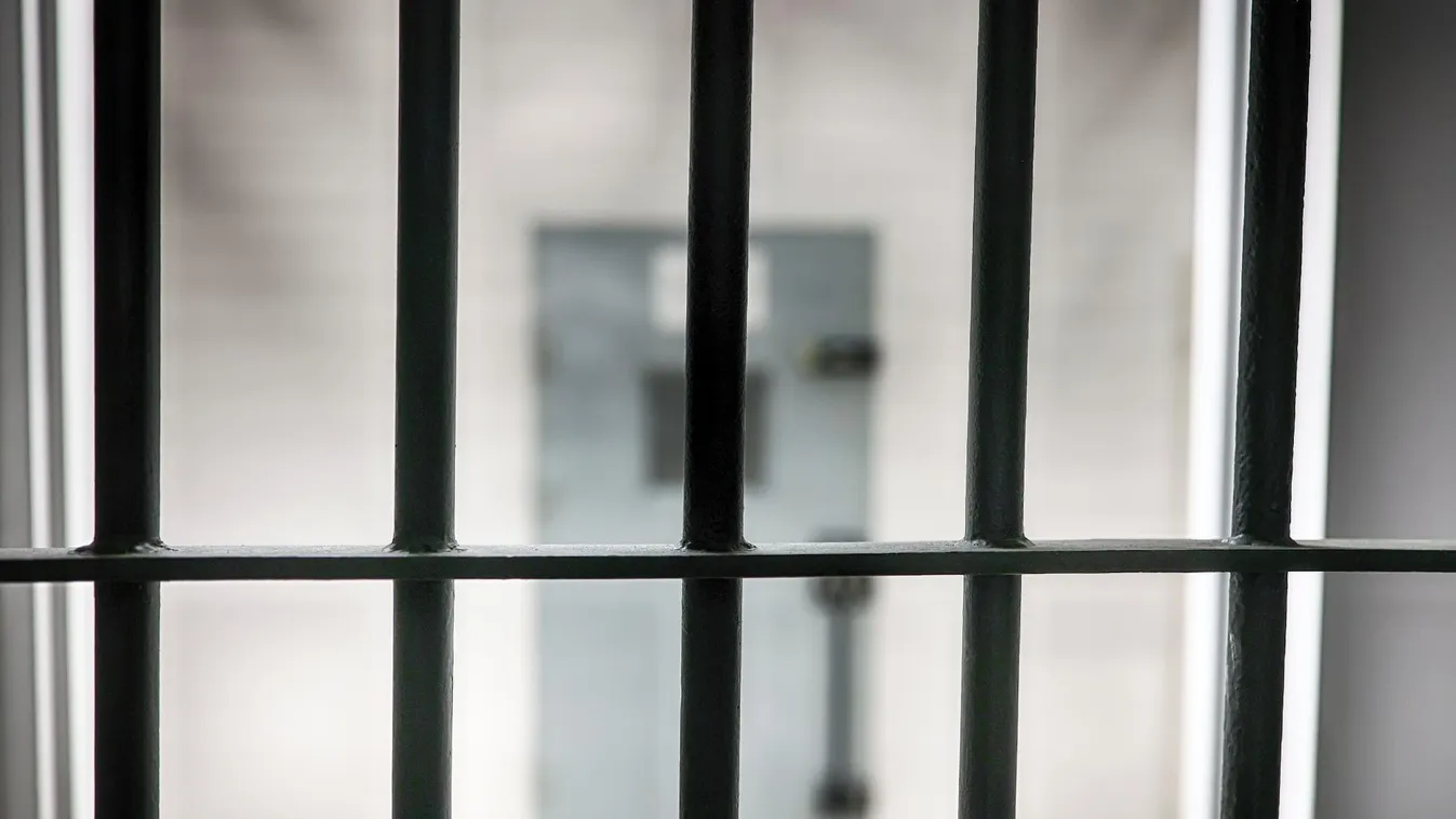 Különös kegyetlenséggel gyilkolt, életfogytiglanra ítélték