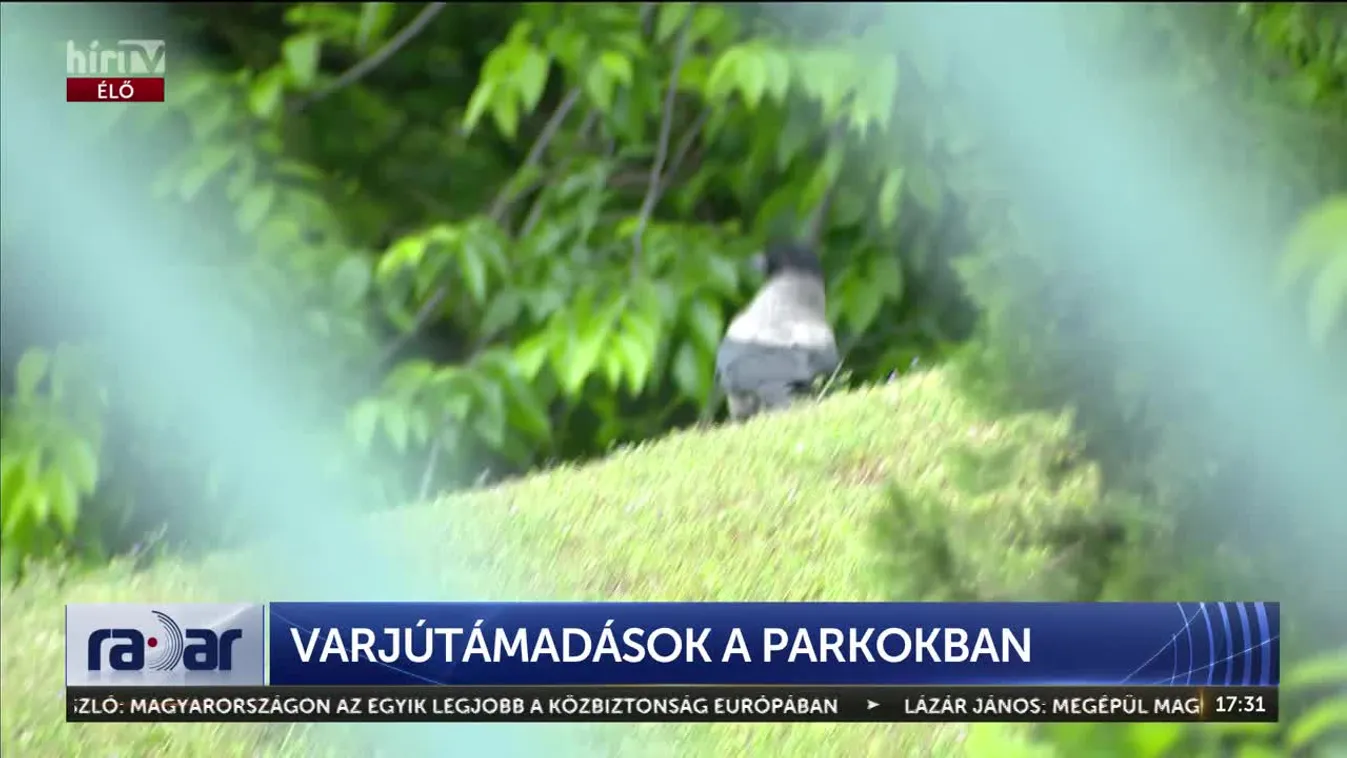Radar - Varjútámadások a parkokban