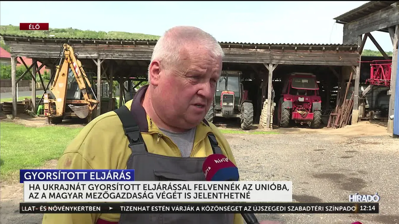 HA UKRAJNÁT GYORSÍTOTT ELJÁRÁSSAL FELVENNÉK AZ UNIÓBA, AZ A MAGYAR MEZŐGAZDASÁG VÉGÉT IS JELENTHETNÉ