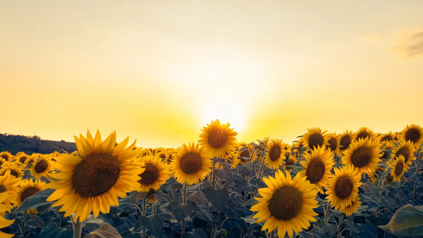 Igazi kiránduló idővel búcsúzik a május