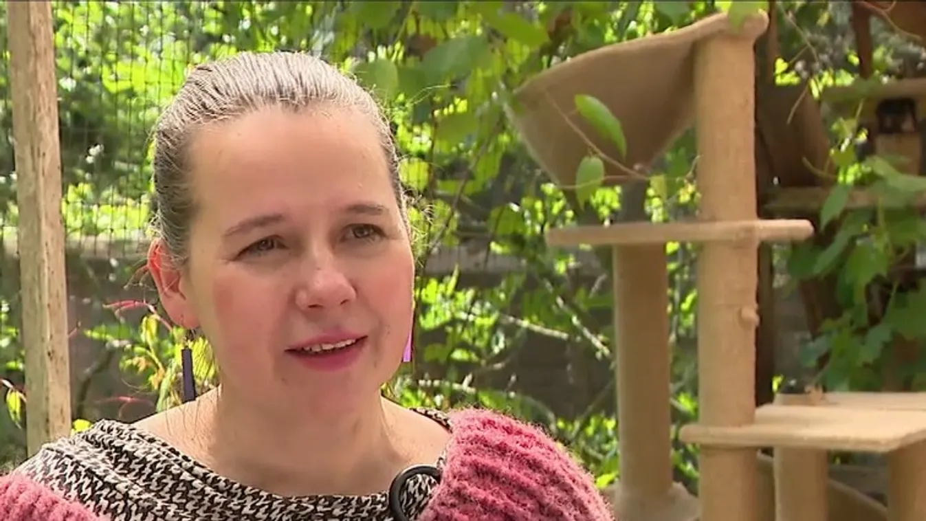 Radar – Cicamenhely és alkotóműhely - Veronika világa + videó