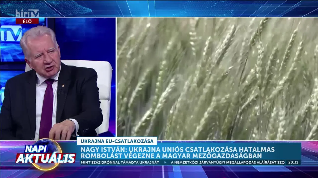 Napi aktuális - Ukrajna uniós csatlakozása hatalmas rombolást végezne a magyar gazdaságban