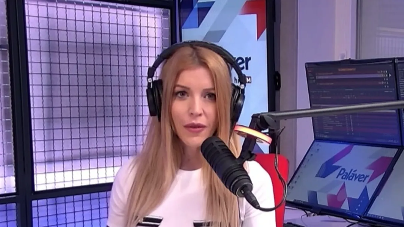 Paláver – Megrongálták a stuttgarti magyar konzulátust + videó