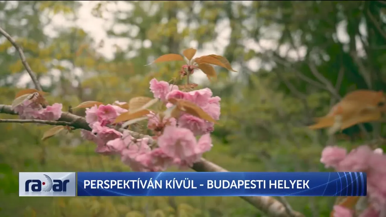 Radar - PERSPEKTÍVÁN KÍVÜL - BUDAPESTI HELYEK