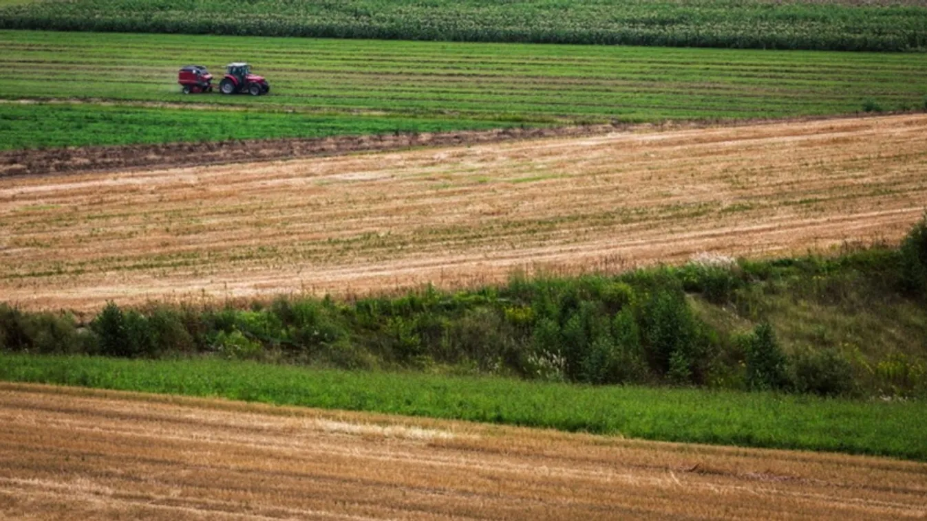 Az OECD szerint a magyar gazdaság volt az egyik legsikeresebb az elmúlt tíz évben