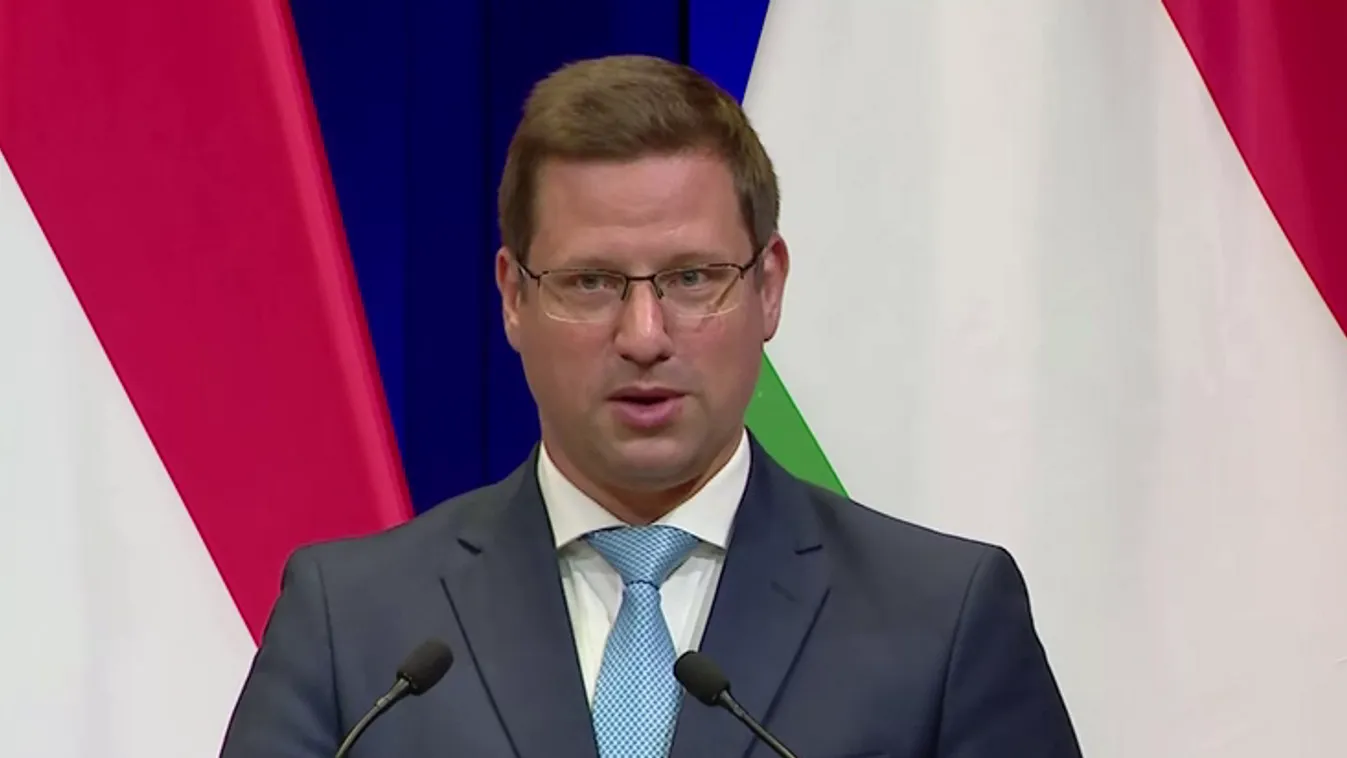 Gulyás Gergely: Ez egy lepkefing + videó