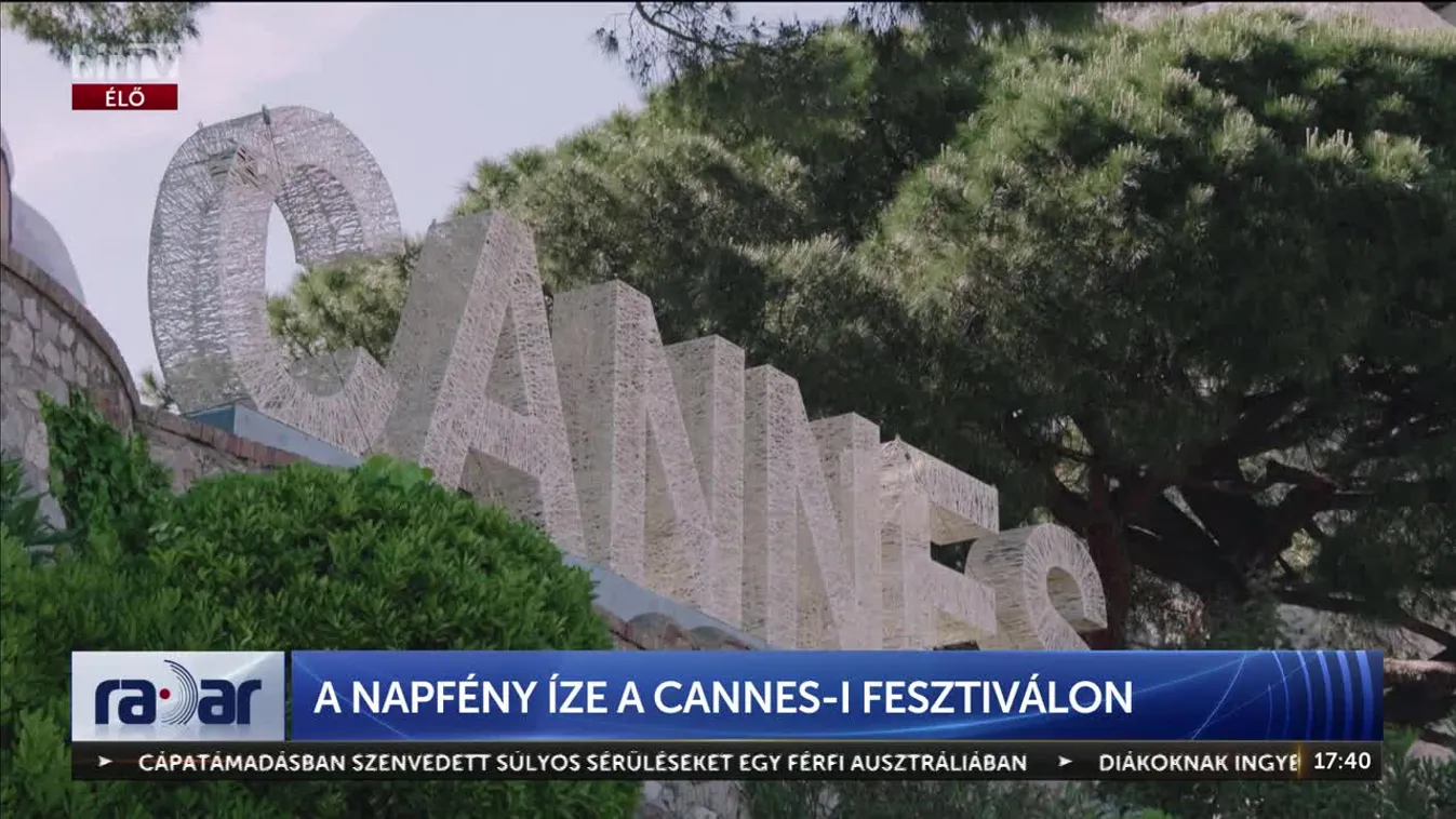 Radar - A napfény íze a cannes-i fesztiválon