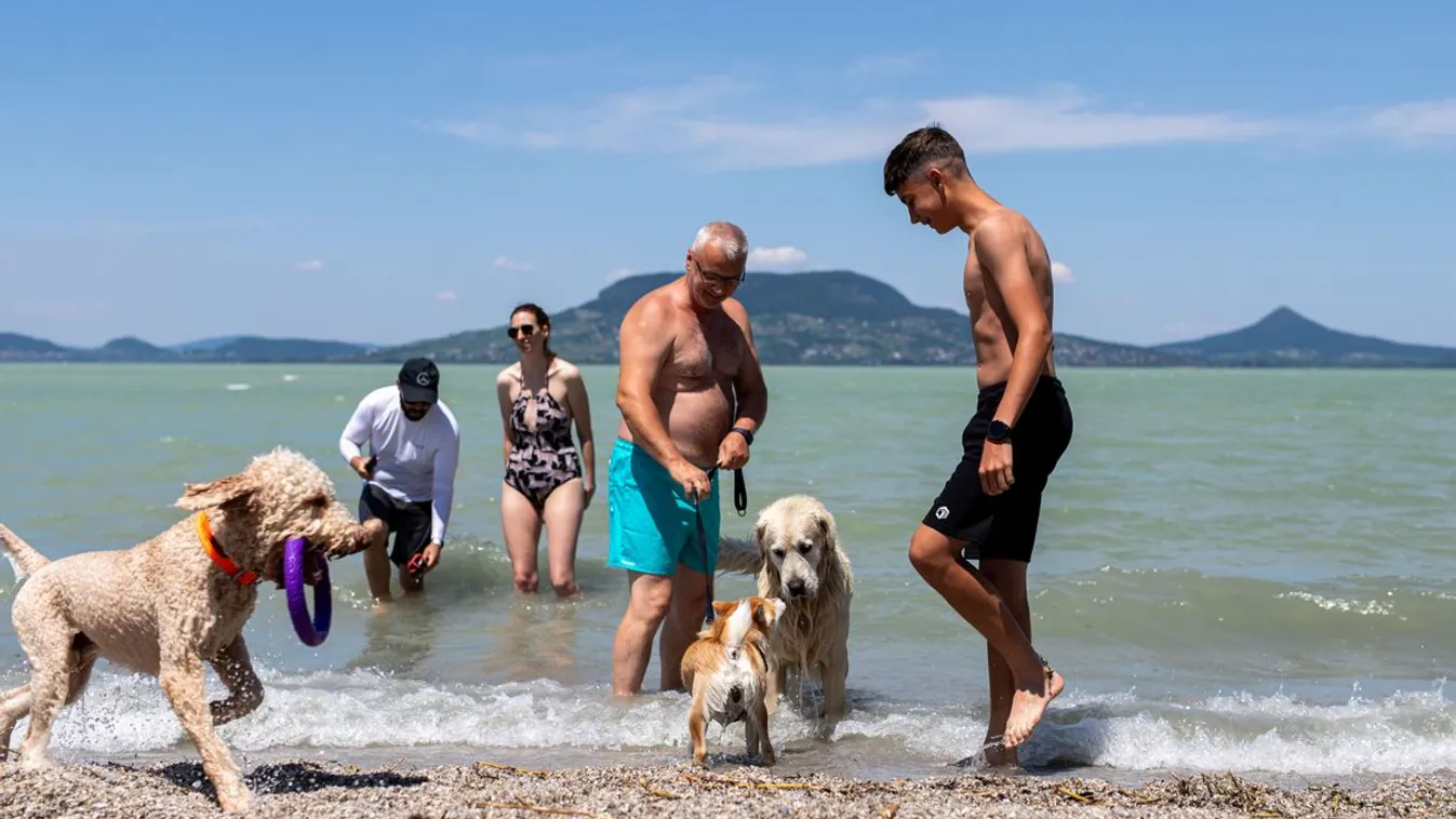 Idén már 21 kutyabarát strand és fürdetőhely várja országszerte a kutyásokat