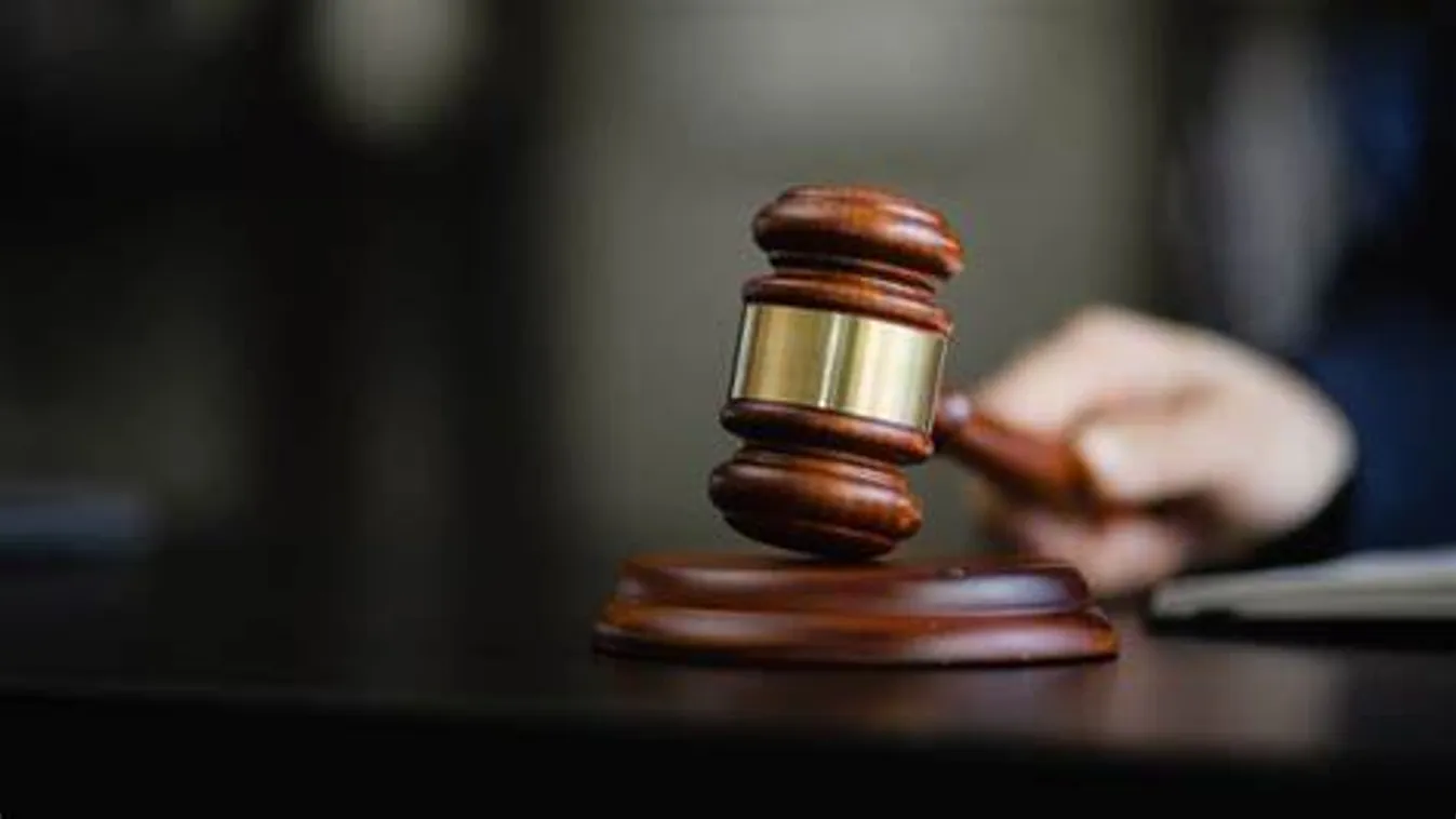 Letöltendő szabadságvesztést kér az ügyészség az állatkínzással vádolt osztrák nőre