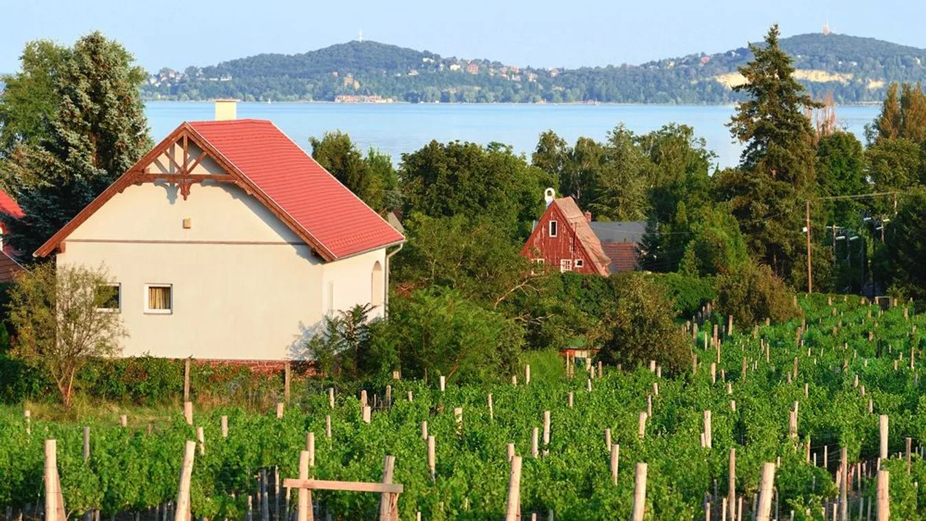 Vállalható kompromisszum a felújítandó ingatlan a saját célra vásárlók körében