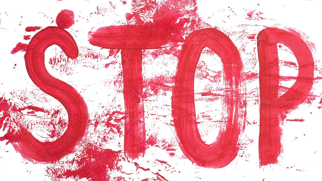 Négy év börtönre ítélték a barátnője kutyáját meggyilkoló férfit Nógrádban