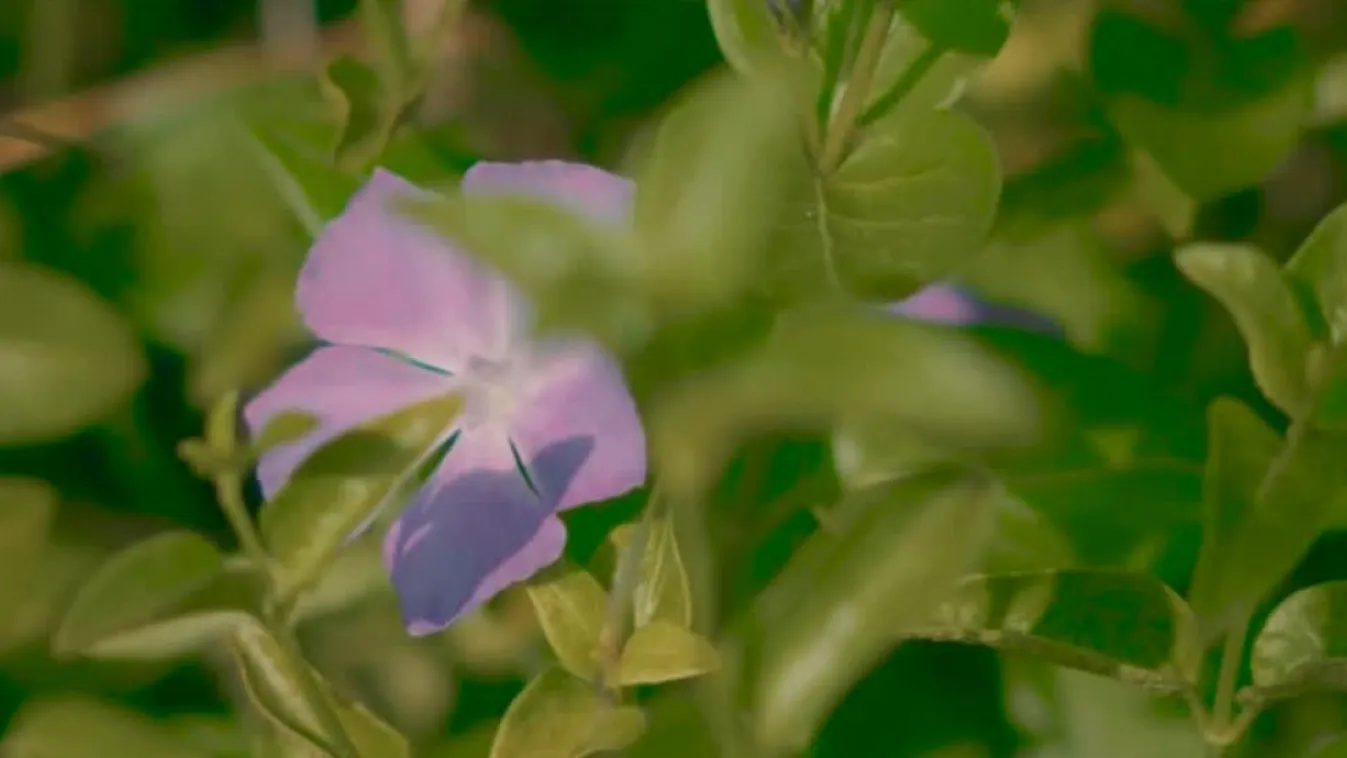 Radar - Perspektíván kívül - budapesti helyek + videó