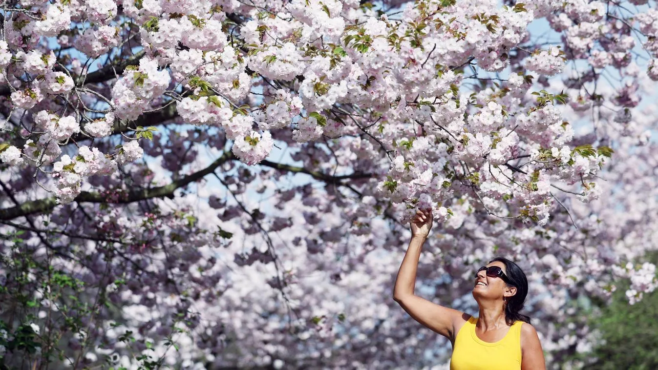 Hétvégén 31 fok is lehet, aztán jön a lehűlés