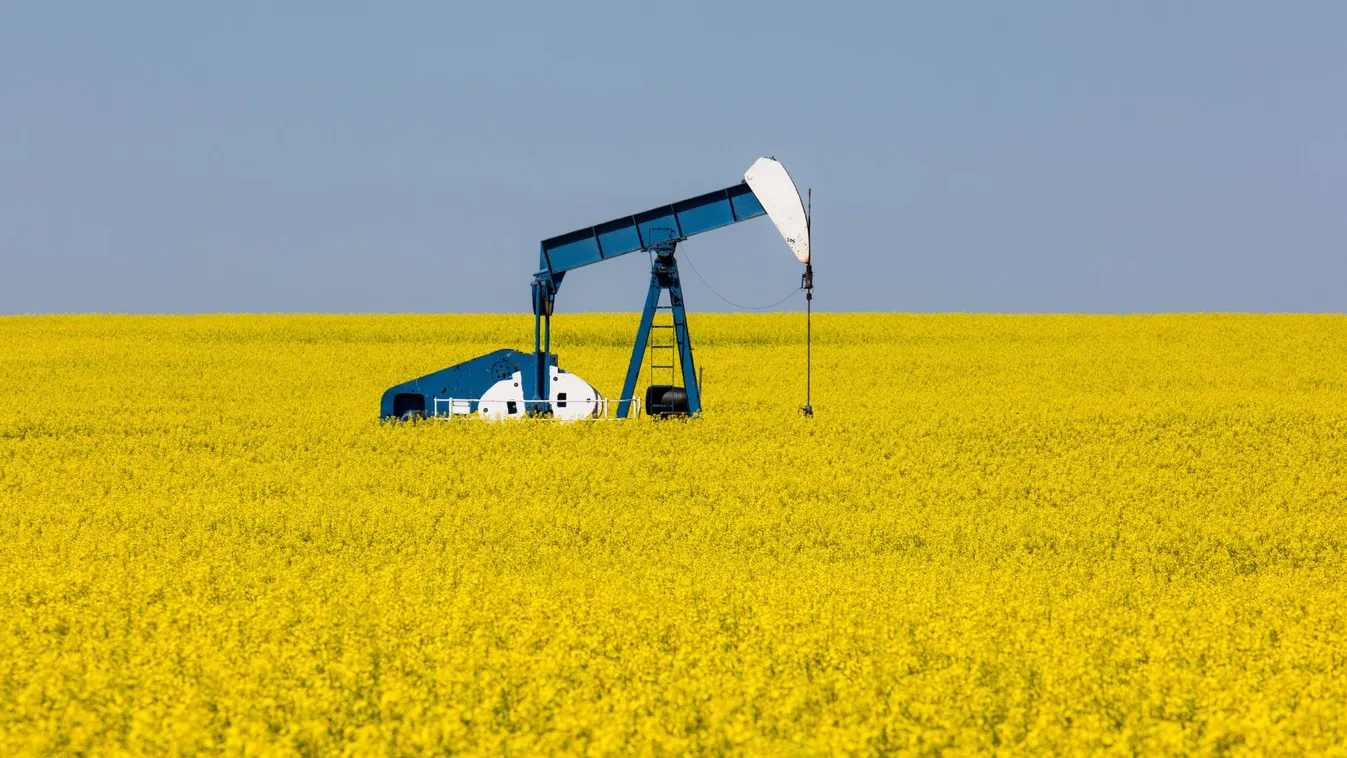 Mol: napi ezernégyszáz hordó olajat termel a somogysámsoni új kút