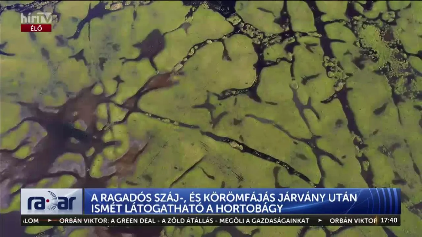 Radar: A ragadós száj-, és körömfájás járvány után ismét látogatható a Hortobágy