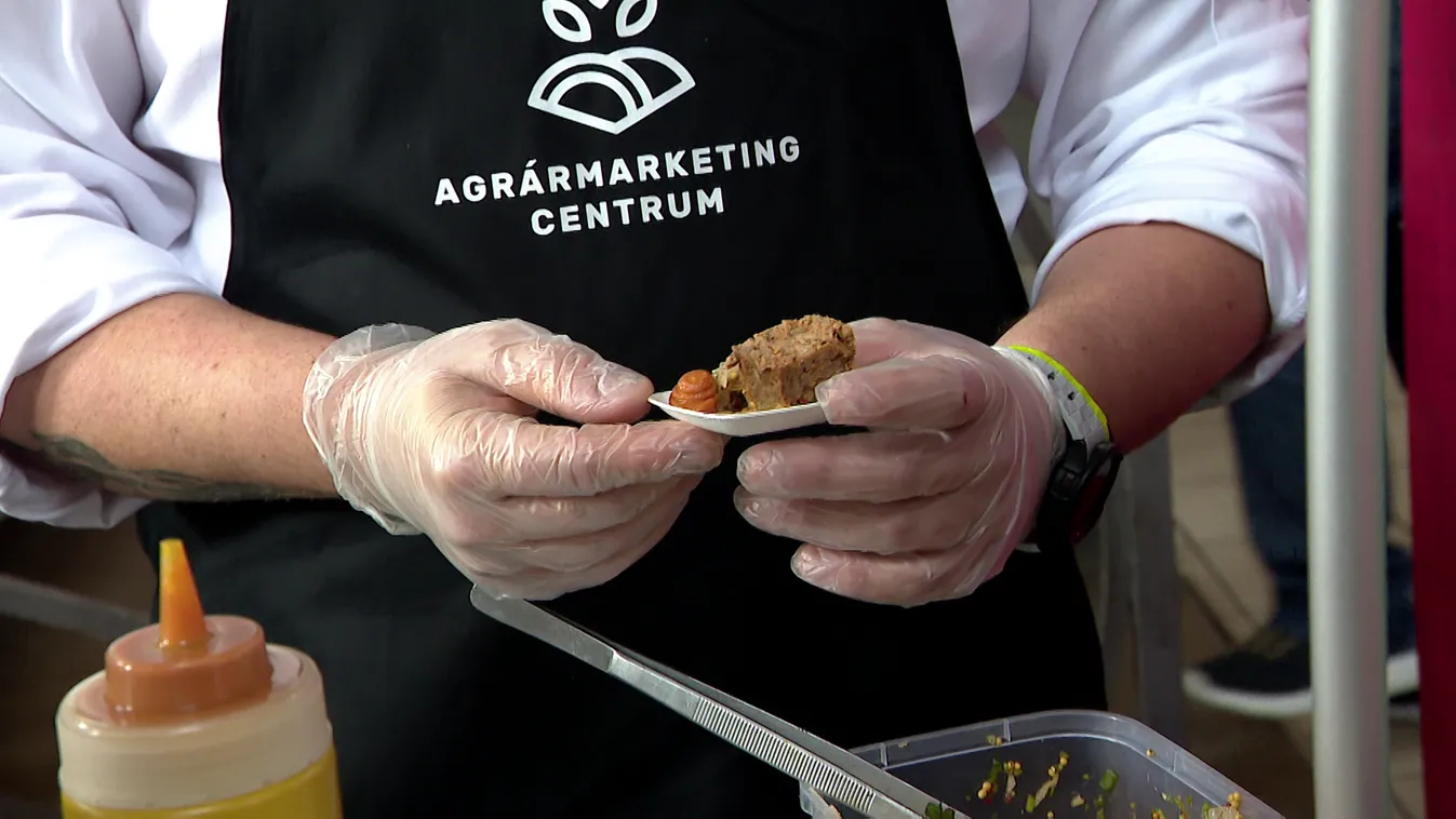 Radar – A bárányhús előnyei + videó