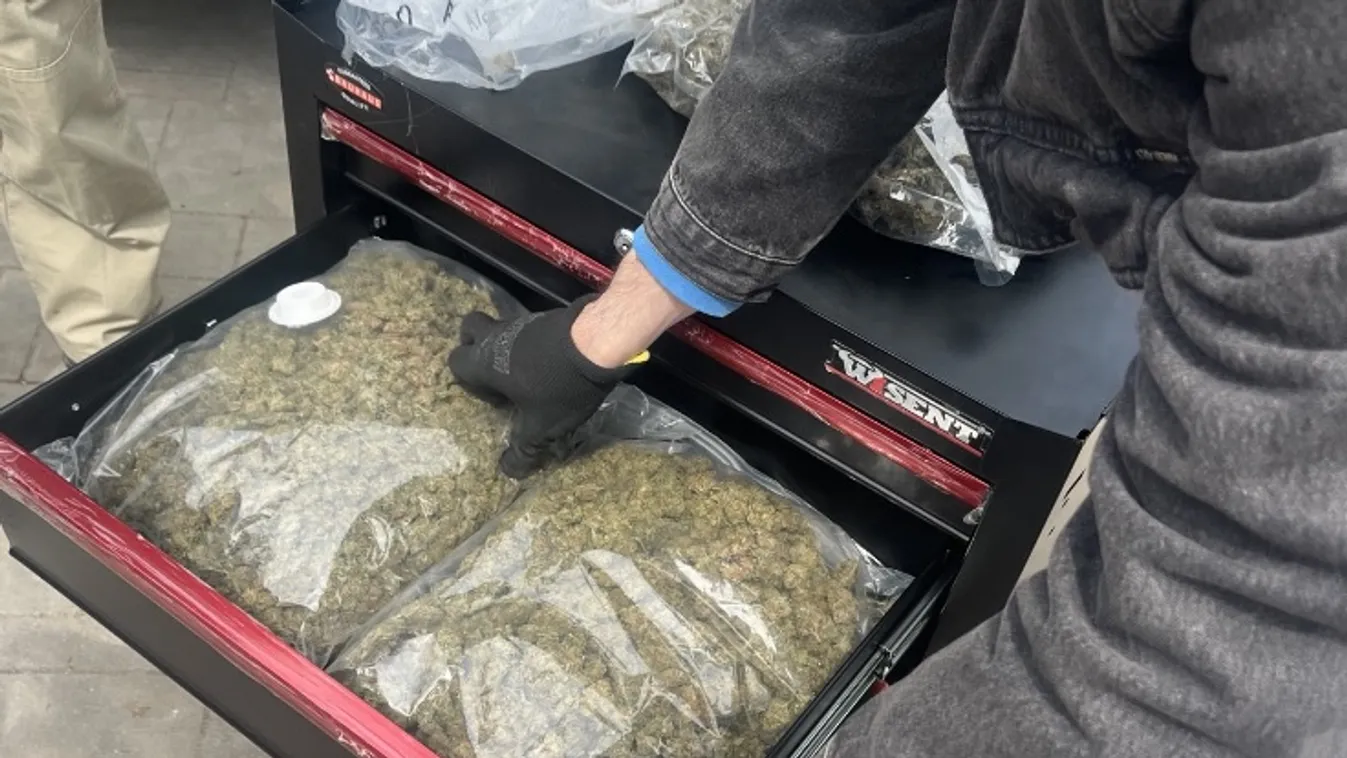 A borsodi rendőrök két dílert vettek őrizetbe, több ezer adag tiltott szert vontak ki a forgalomból