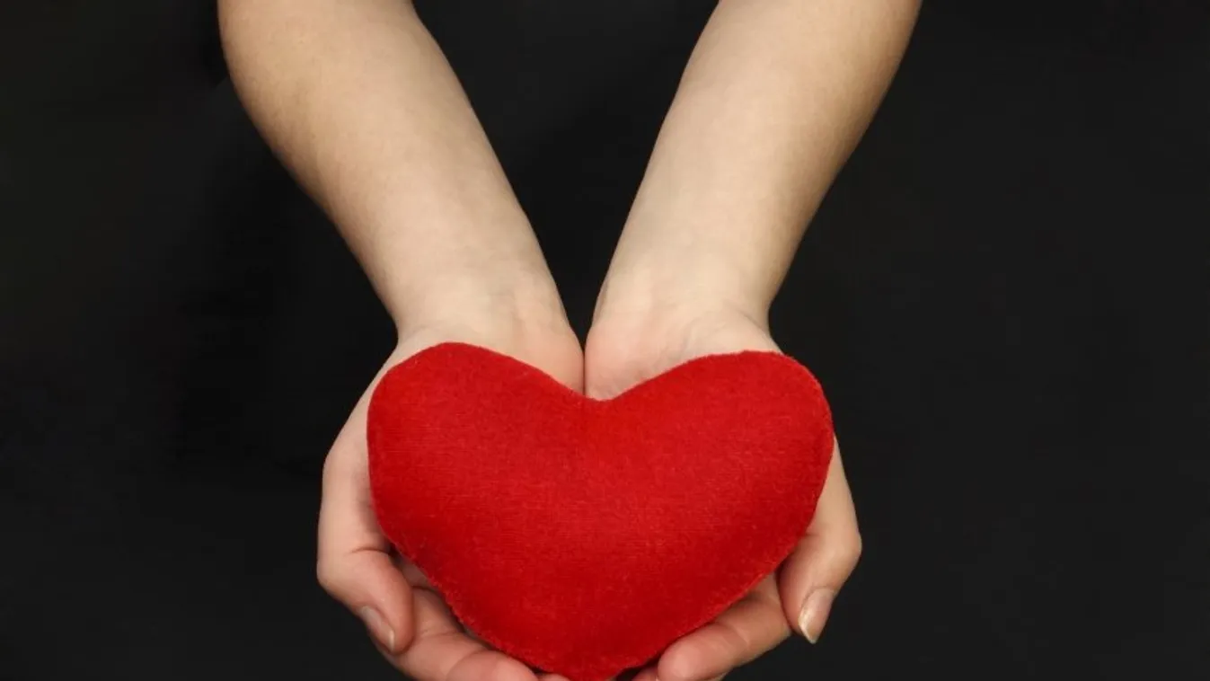 Szlovénia újabb repülőgépet vásárolhat a szervátültetési program segítésére