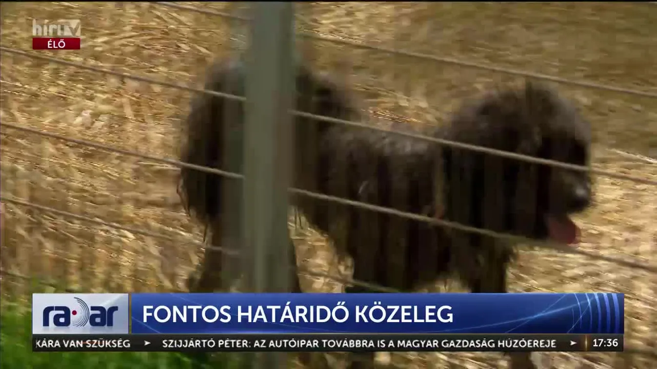Radar – Fontos határidő közeleg