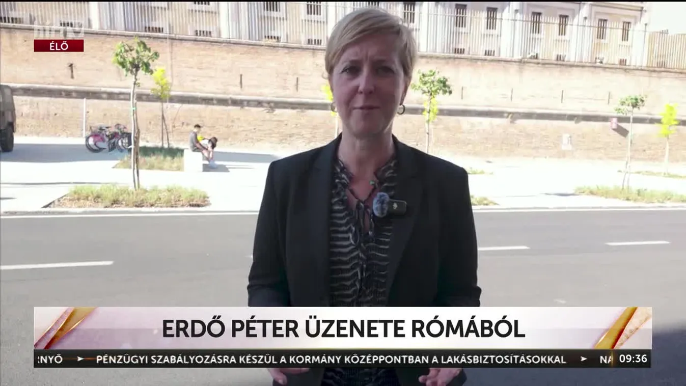 Erdő Péter üzenete Rómából