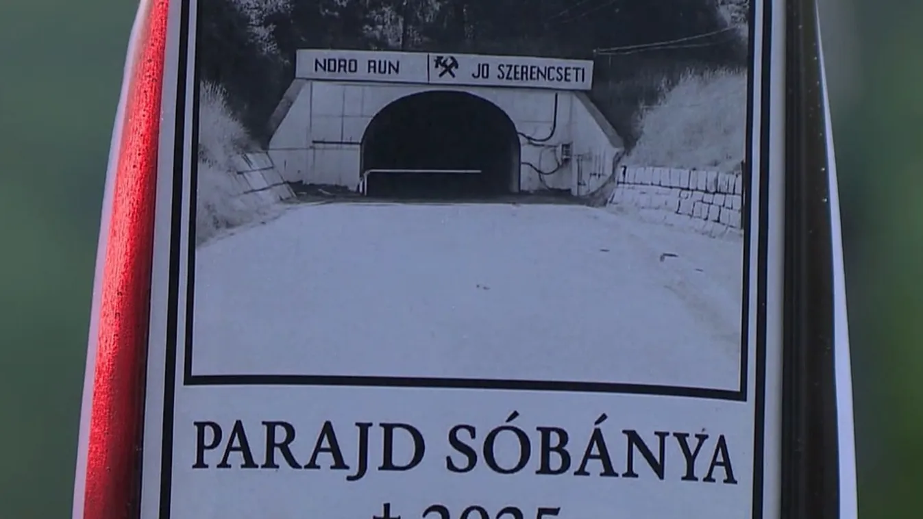 Versenyt futottak az idővel a parajdi sóbánya mentőegységei  + videó