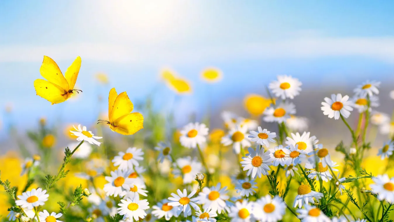 Kiadták a figyelmeztetést, jön a vihar