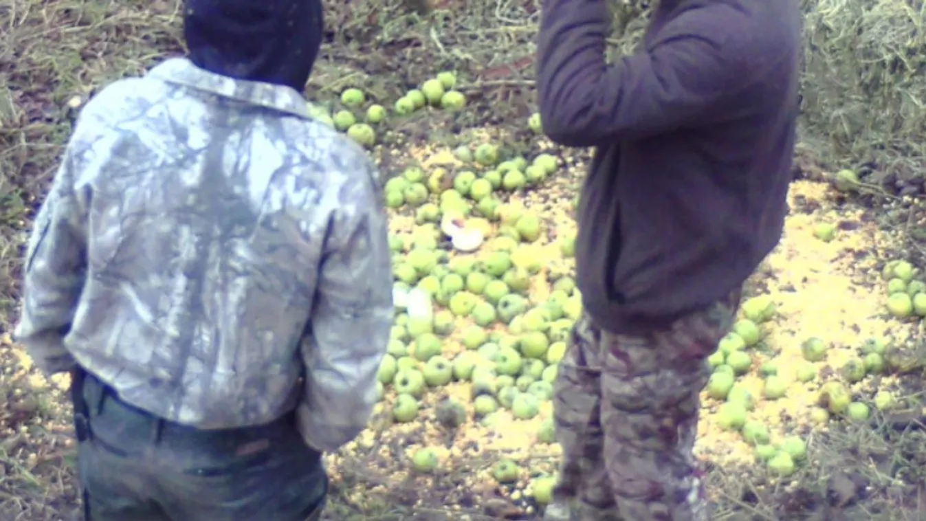 Orvvadászat bűntett kísérlete miatt folytat nyomozást a Miskolci Rendőrkapitányság