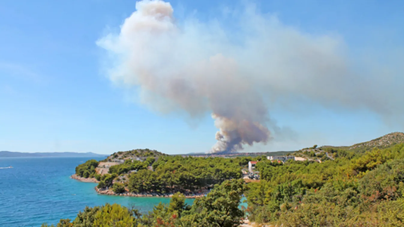 Horvátországban 220 kamerával figyelik az erdőket