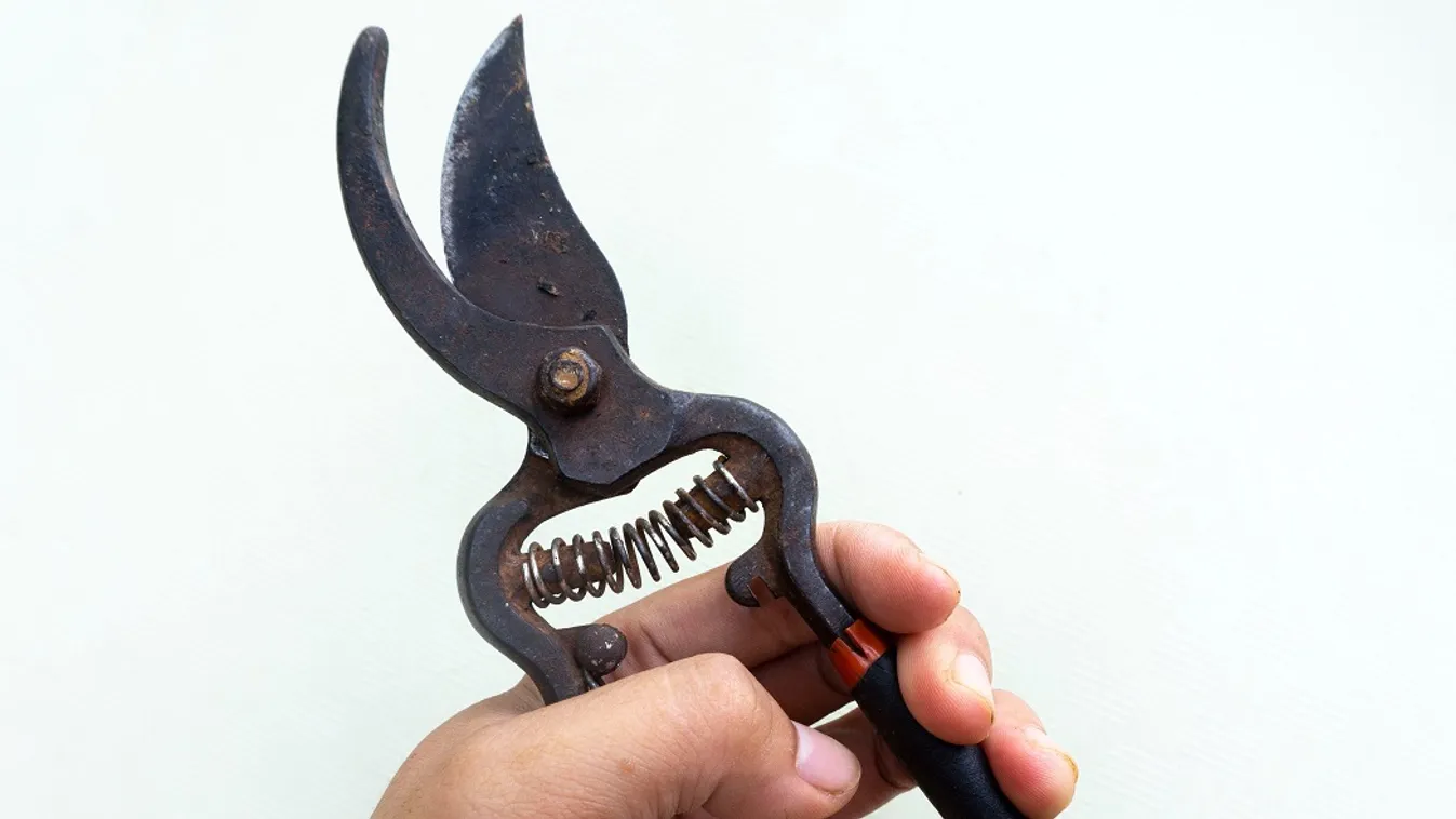 Metszőollóval, éjjel csonkol egy titokzatos alak Szegeden